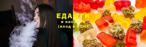 индика Каменск-Шахтинский