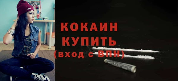 индика Каменск-Шахтинский