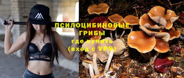 прущая мука Каменка