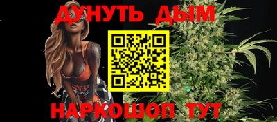 шишки Новозыбков