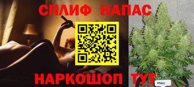 шишки Новозыбков