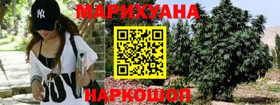 шишки Новозыбков