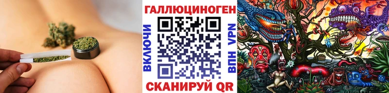 ОМГ ОМГ онион  Фурманов  Псилоцибиновые грибы Psilocybine cubensis 