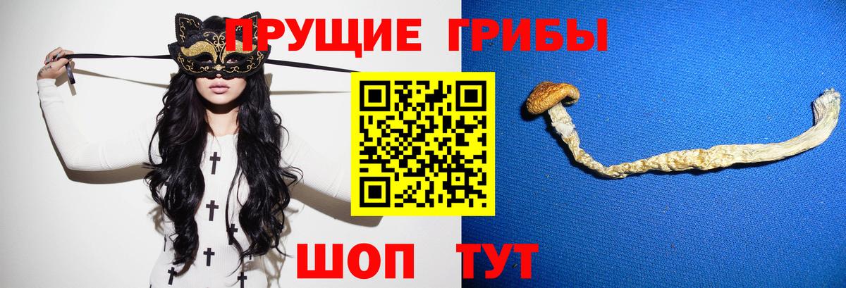 Псилоцибиновые грибы GOLDEN TEACHER Фурманов